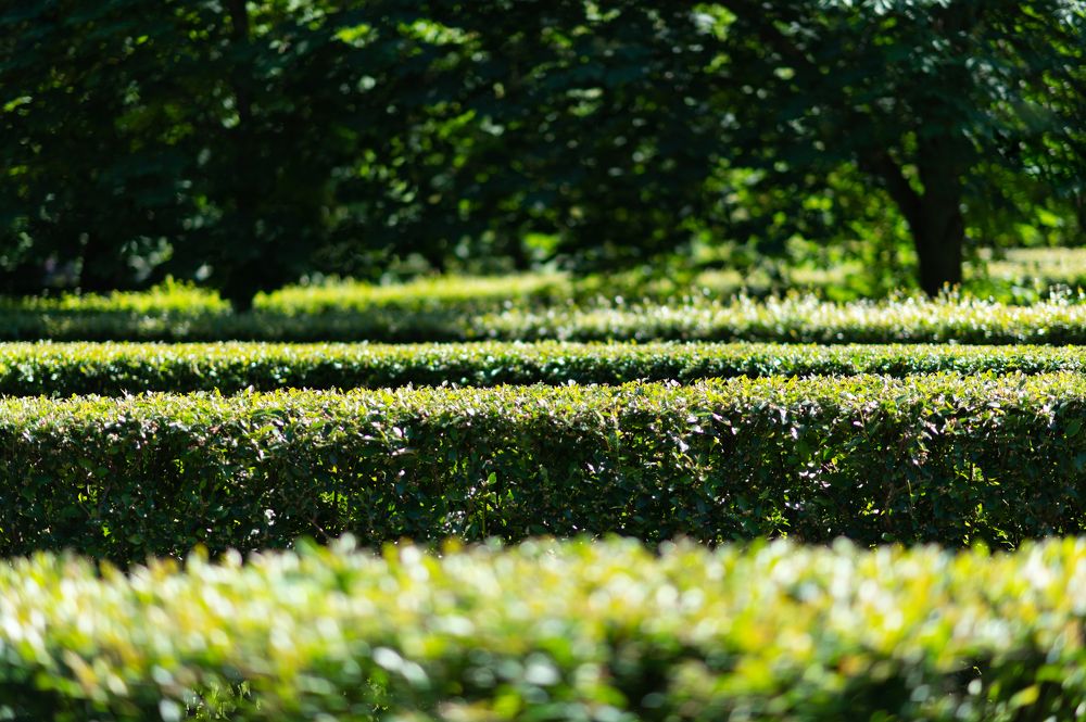 Photograph by Татьяна Родикова