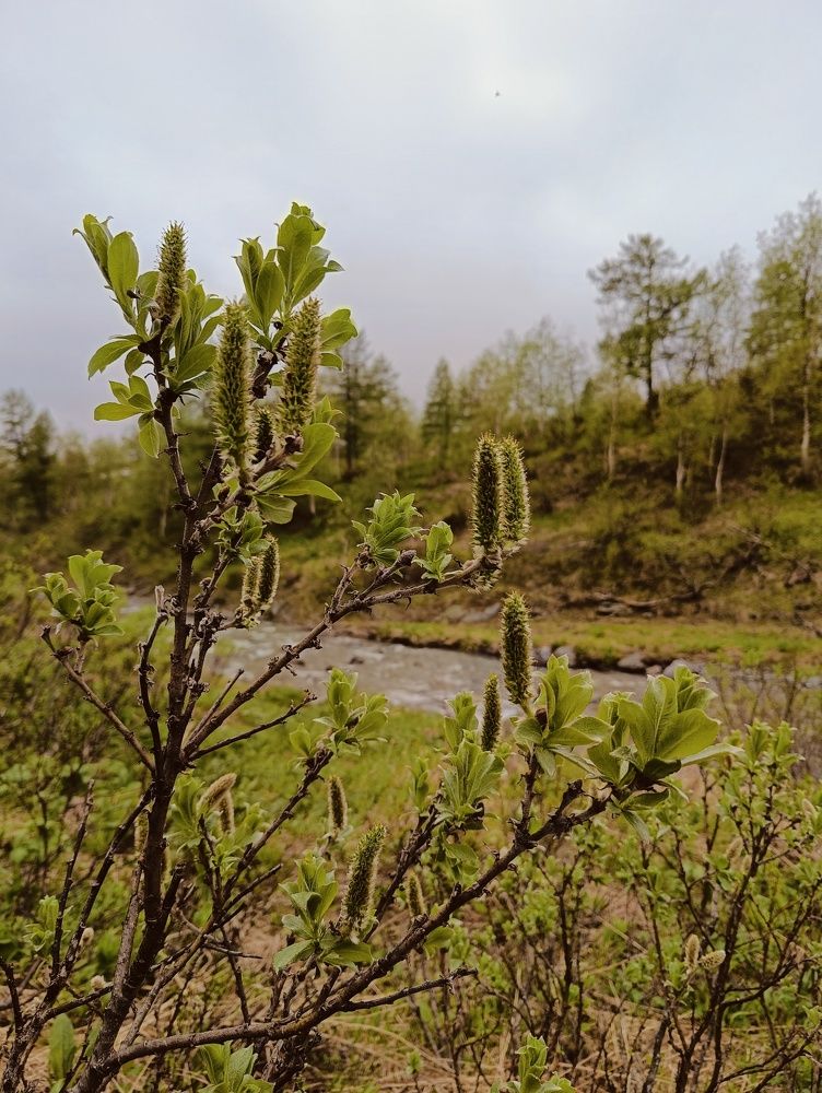 Photograph by Marina Volnova