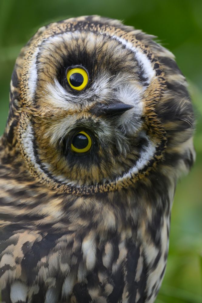 Photograph by Пупонин Сергей