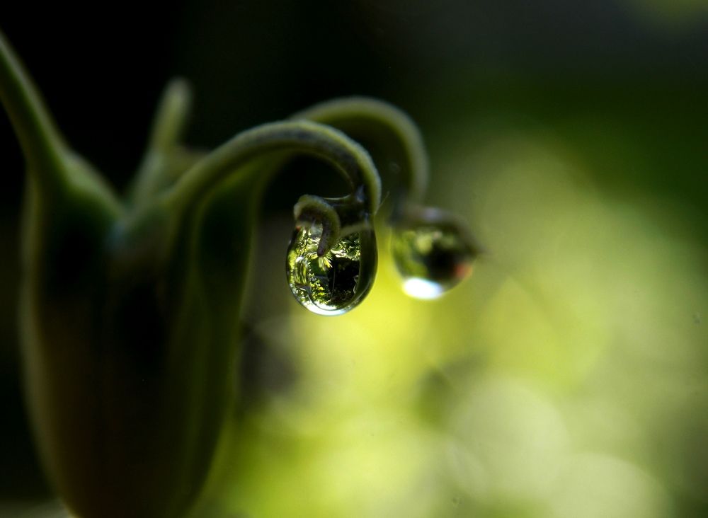 Photograph by Olja Simovic