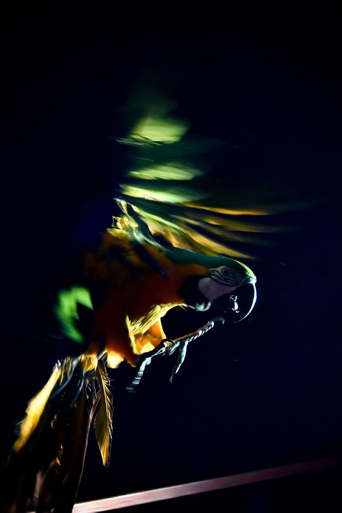 Фотография автора Ольга Альт