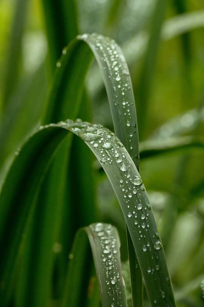 Фотография автора Борис Журавлёв