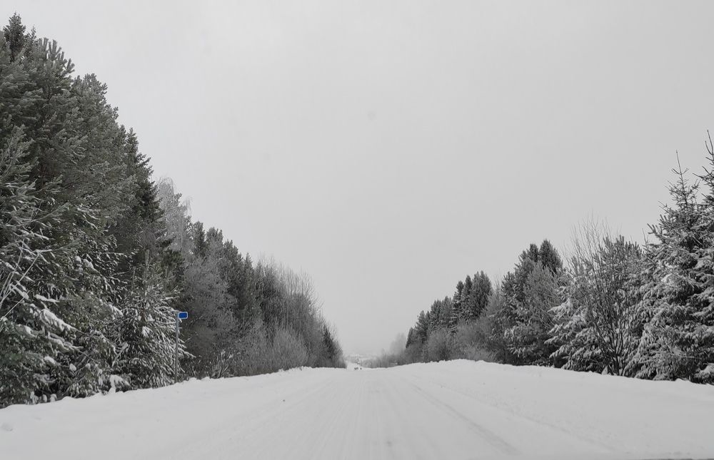 Photograph by Ирина Дружинина