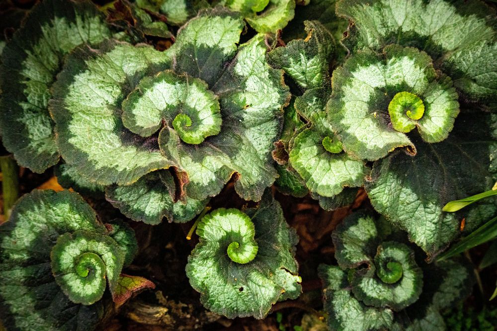 Photograph by Татьяна Мухлынина