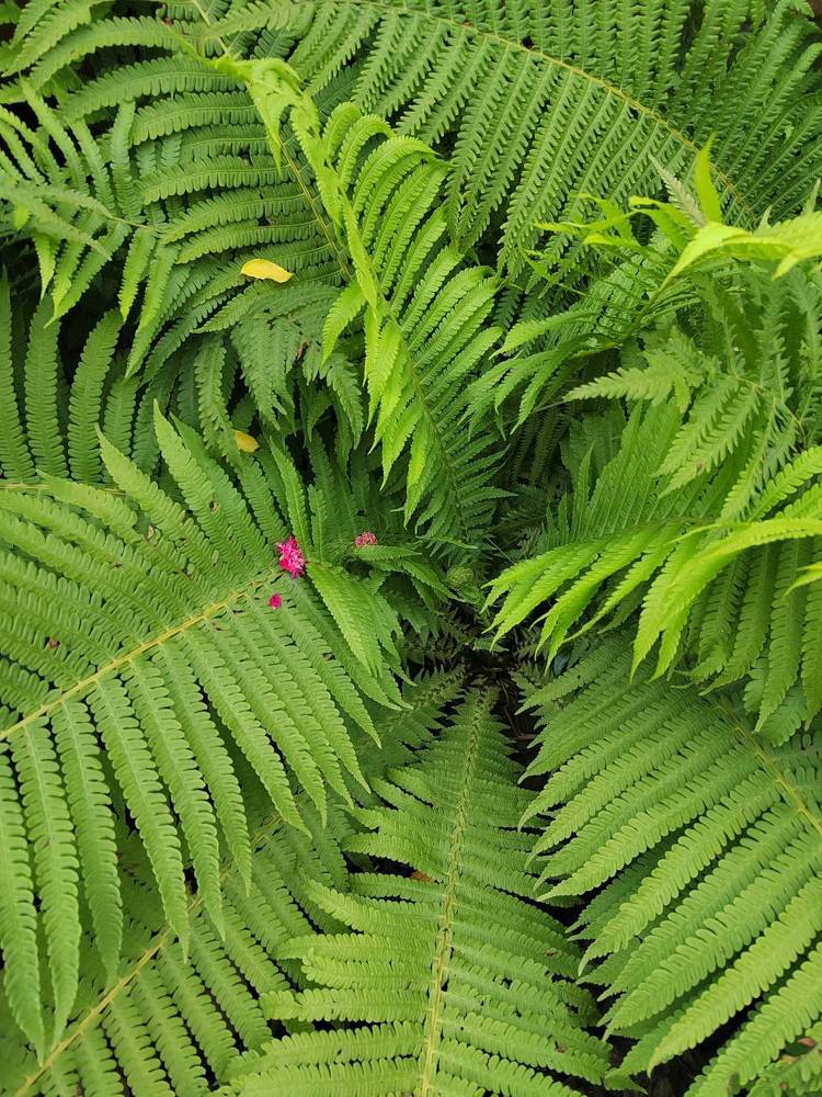 Photograph by Куделенко Оксана