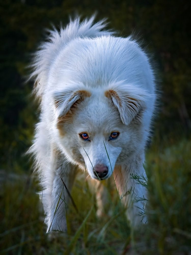 Photograph by Konstantin Martynov