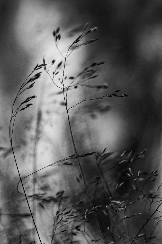 Photograph by Марина Халатова