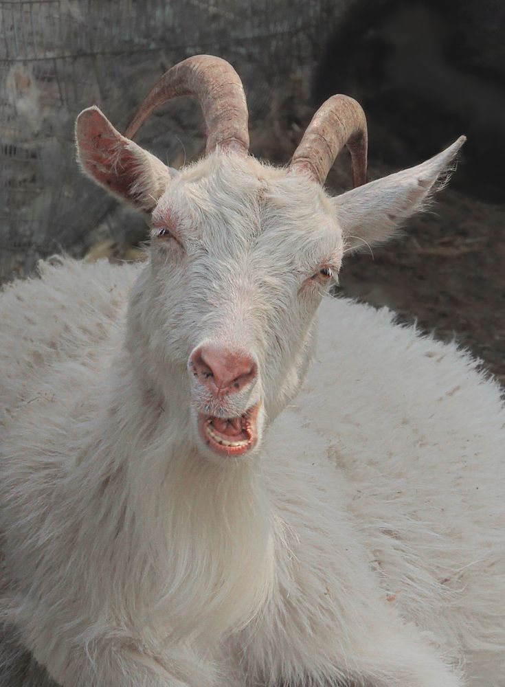 Photograph by Галина Суровицкая