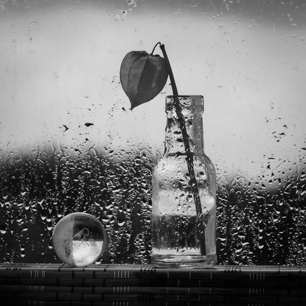 Без названия