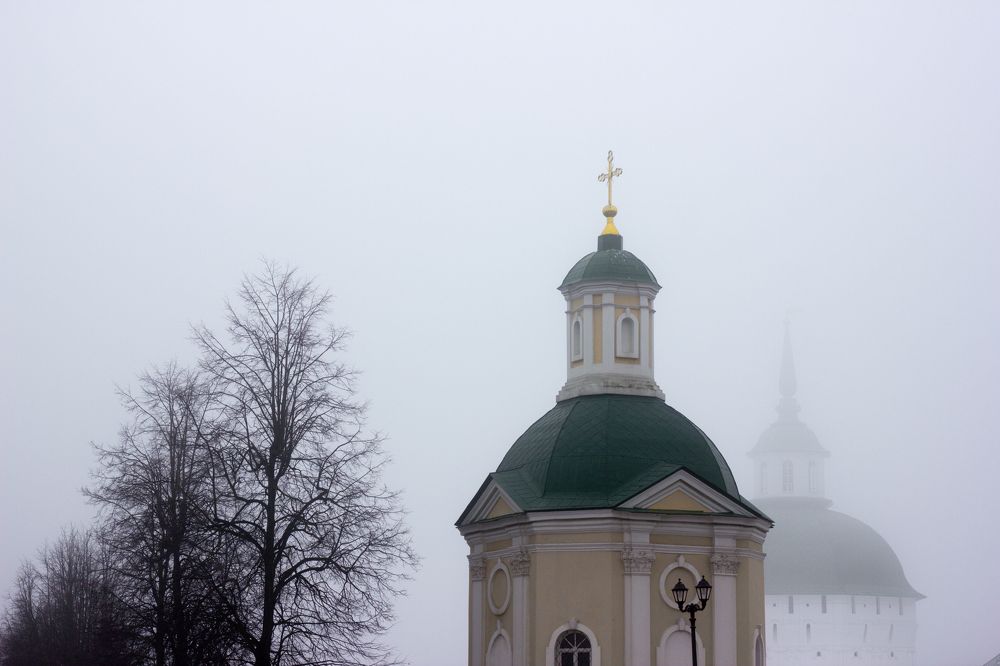 Photograph by Алина Пролеева