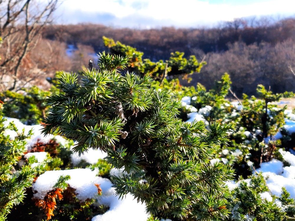 Photograph by Галина Глазкова