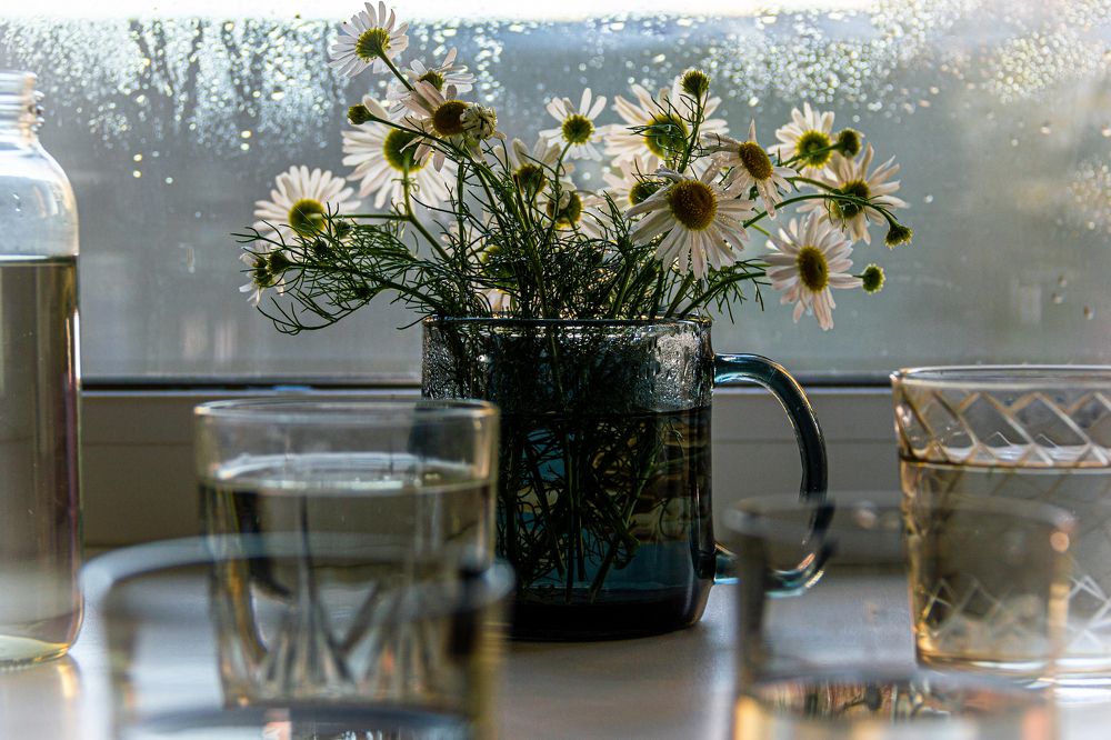 Photograph by Алина Пролеева