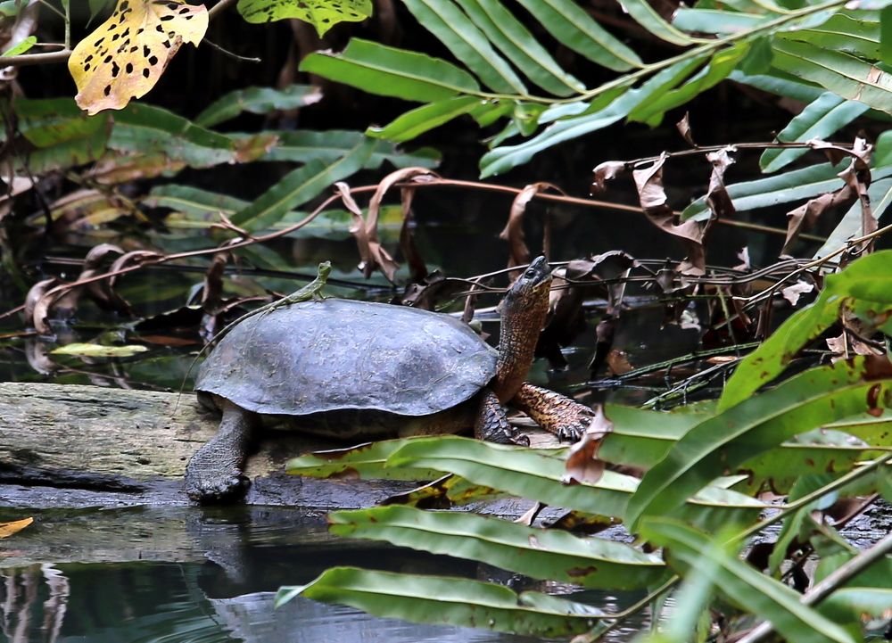 Photograph by Vladislav Kaplun