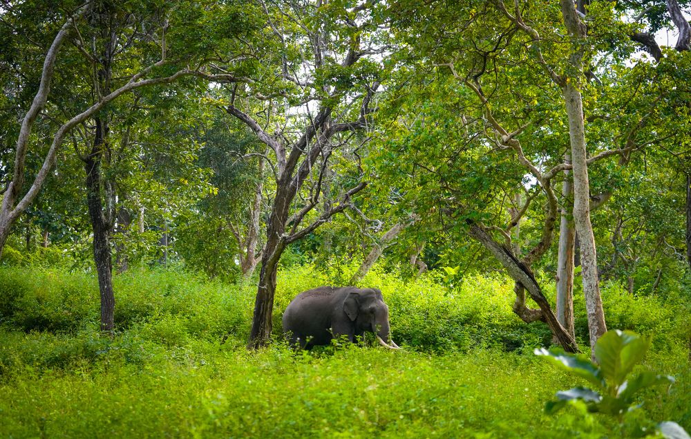 Photograph by SARAVANA MANICKAM