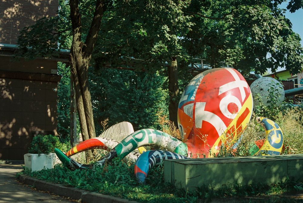 Photograph by Алина Пролеева