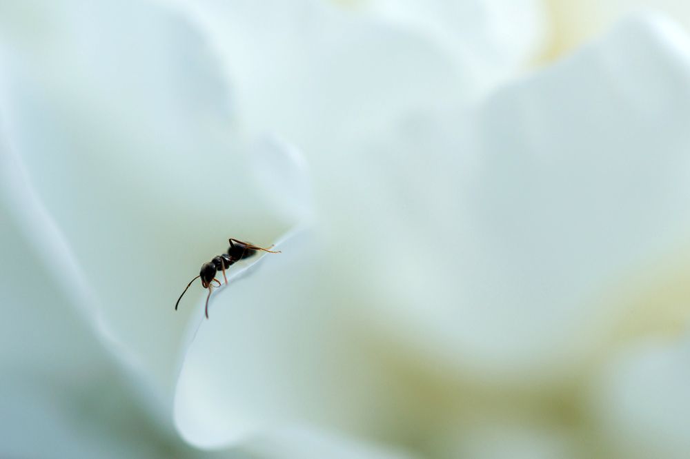 Photograph by Волынский Виктор