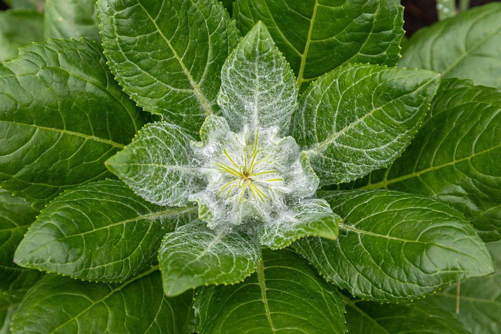 Photograph by Волынский Виктор