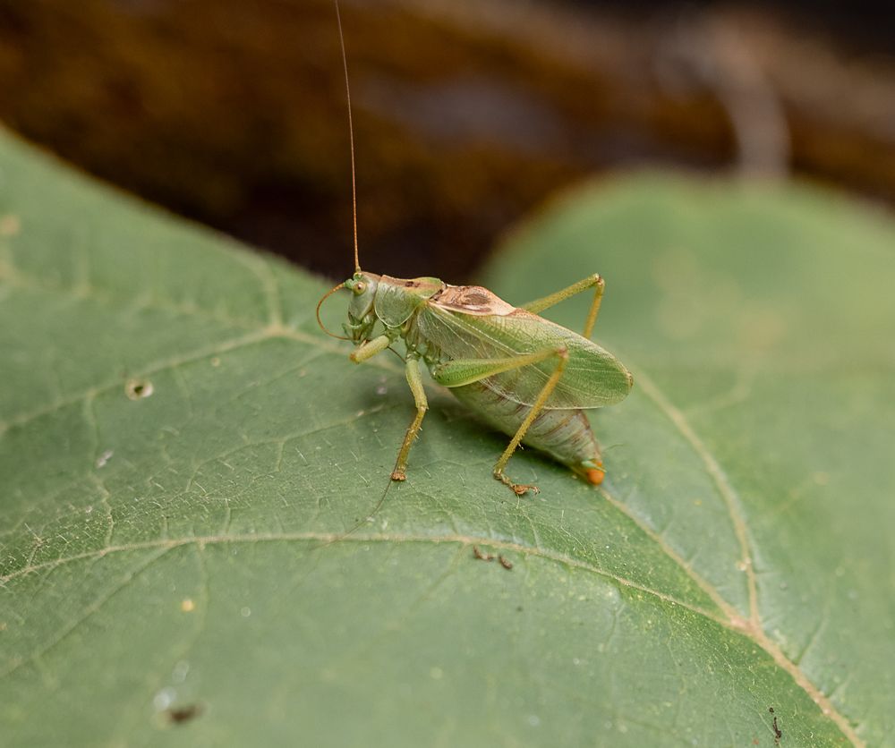 Photograph by Екатерина Каминская