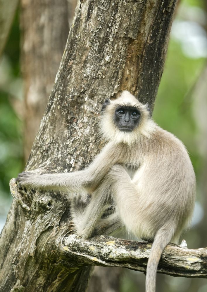 Photograph by SARAVANA MANICKAM