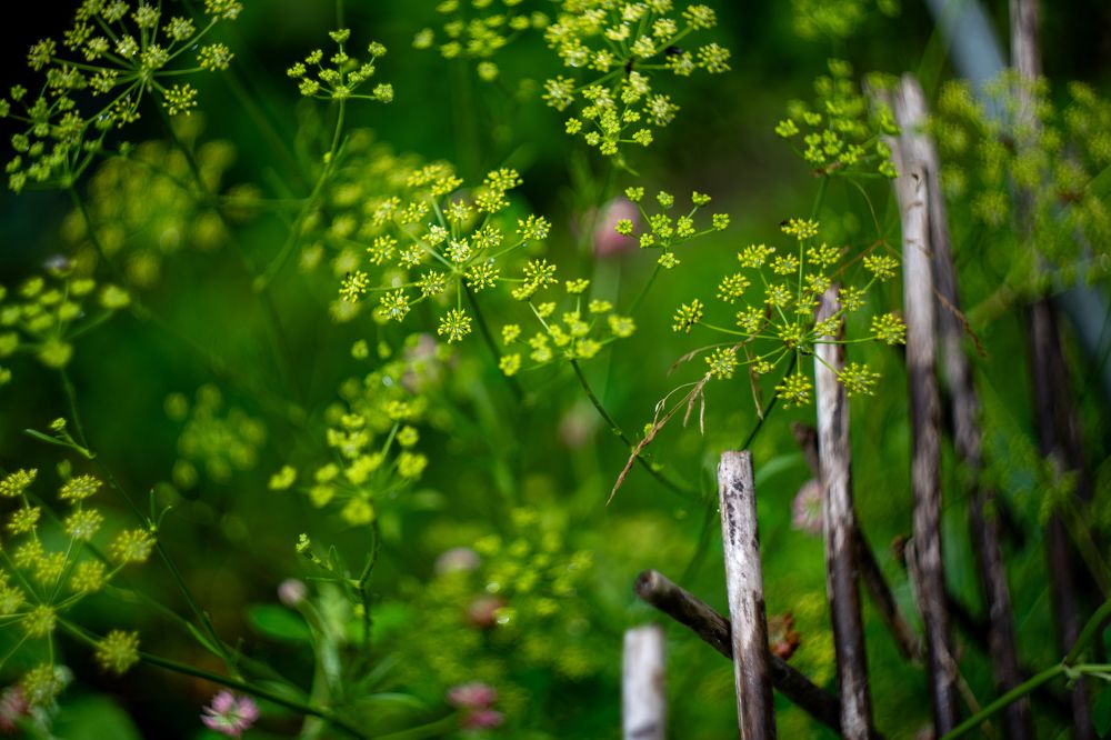 Photograph by Галина Аскольдовна Луковникова