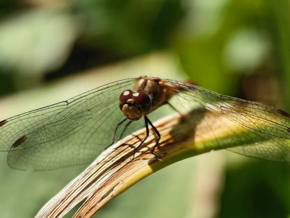 Фотография автора Юрий Кольцов