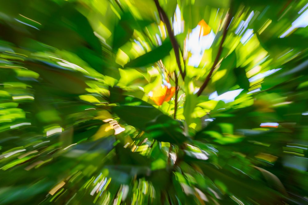 Photograph by Галина Аскольдовна Луковникова