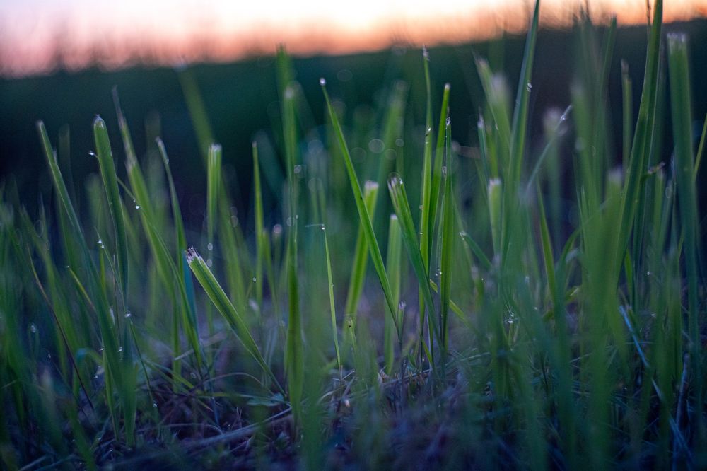 Photograph by Галина Аскольдовна Луковникова