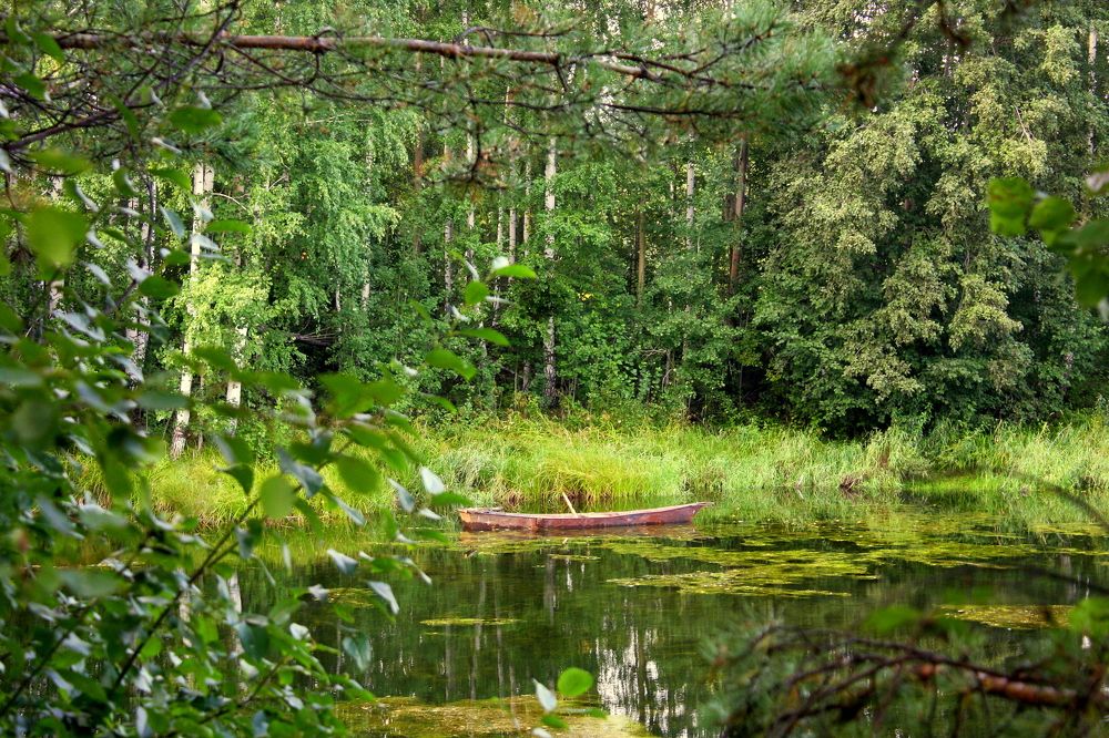 Фотография автора Nelya  Lysenko