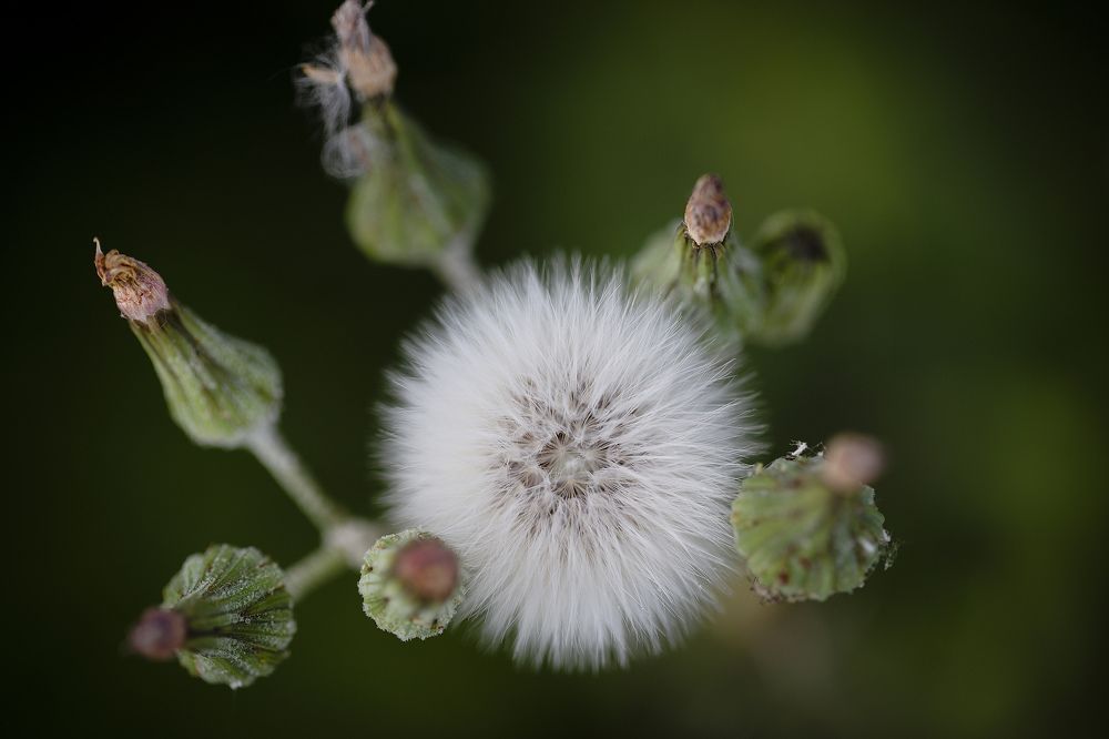 Photograph by Касьянова Ольга