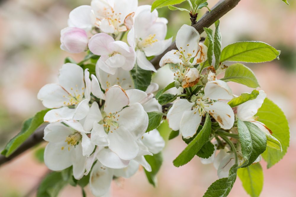 Photograph by Касьянова Ольга