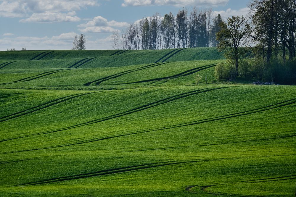 Photograph by Janis Serdienis