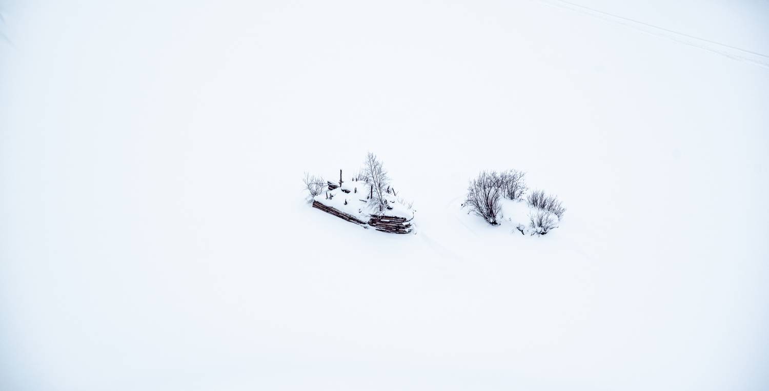 Фотография #11405019