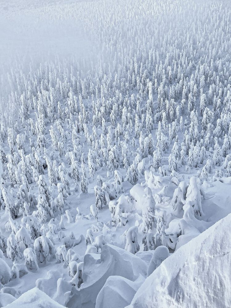 Photograph by Дулова Анастасия