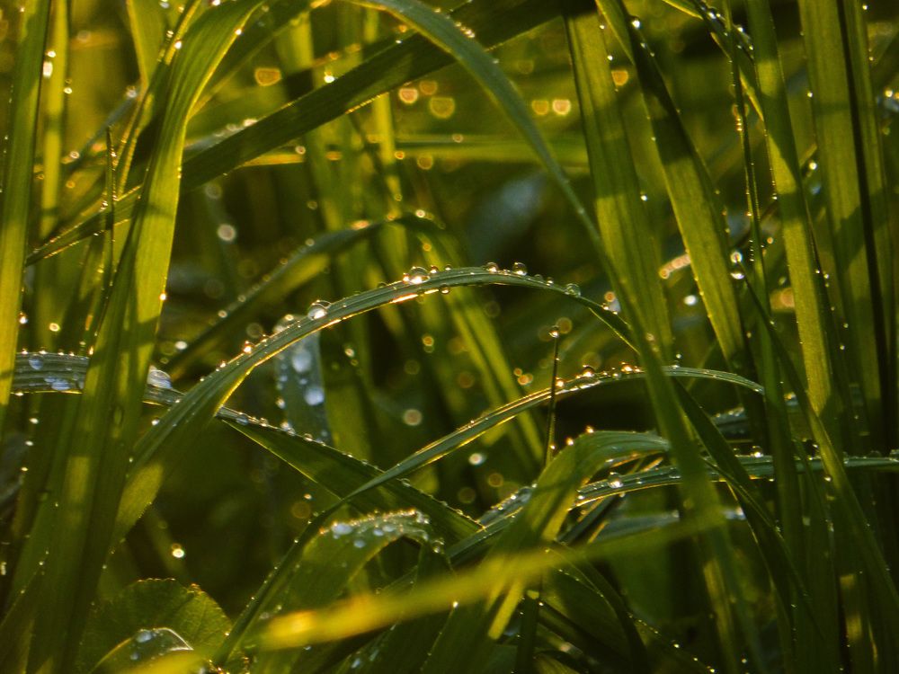 Photograph by Кондрашова Светлана