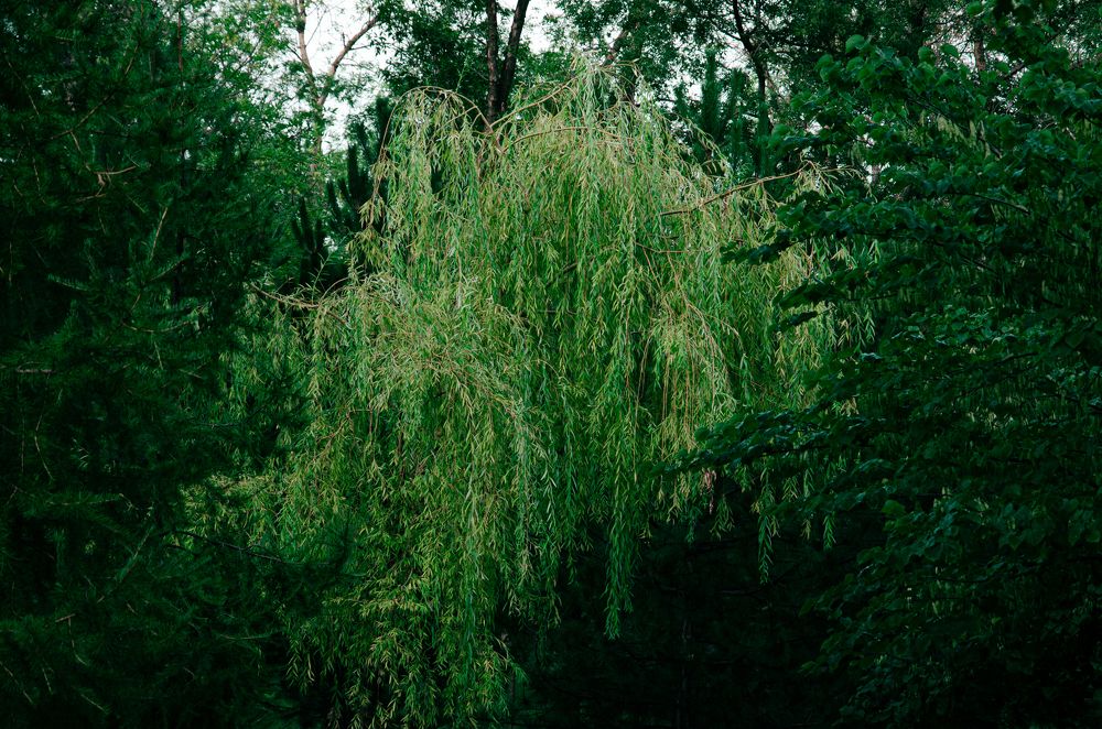 Photograph by Влад Василенко