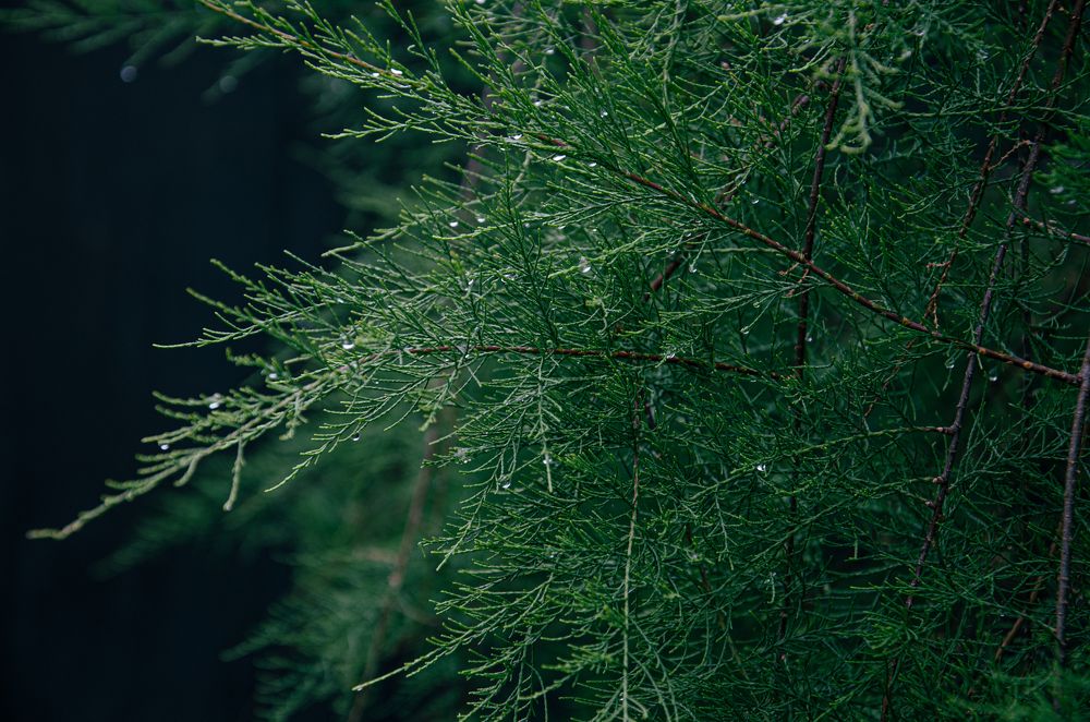 Photograph by Влад Василенко