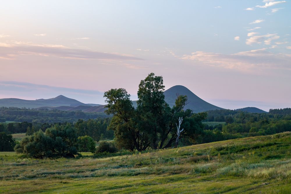 Фотография автора Дарья Рогозина