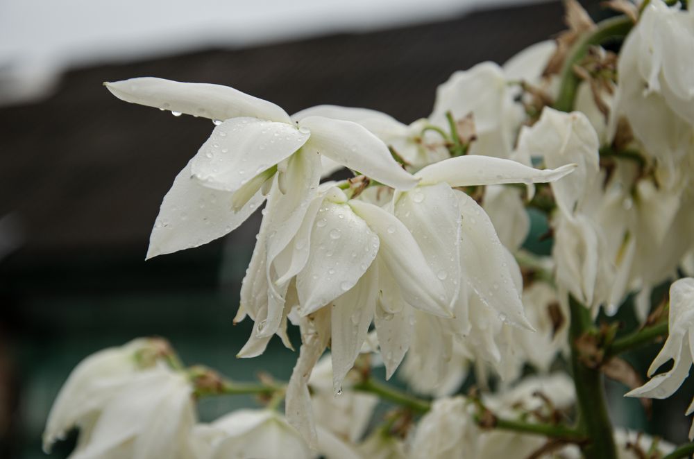 Photograph by Влад Василенко