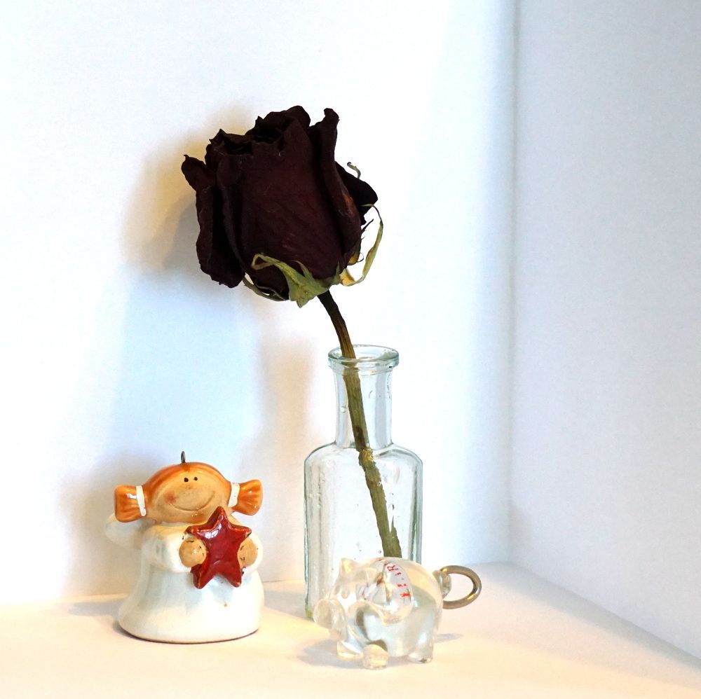 Photograph by Блюмина Елена