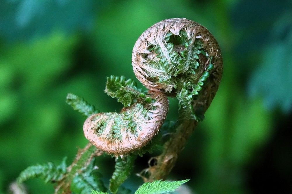 Photograph by jelena konickaja