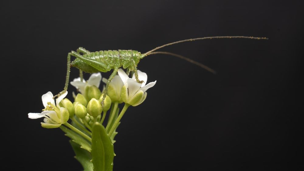 Photograph by Людмила Железнова