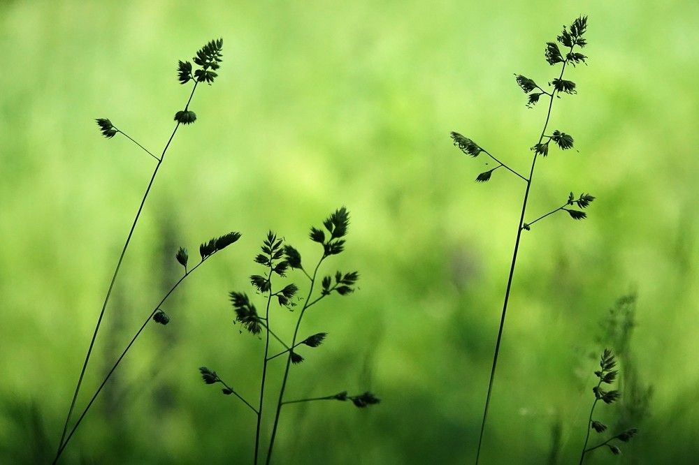 Photograph by jelena konickaja