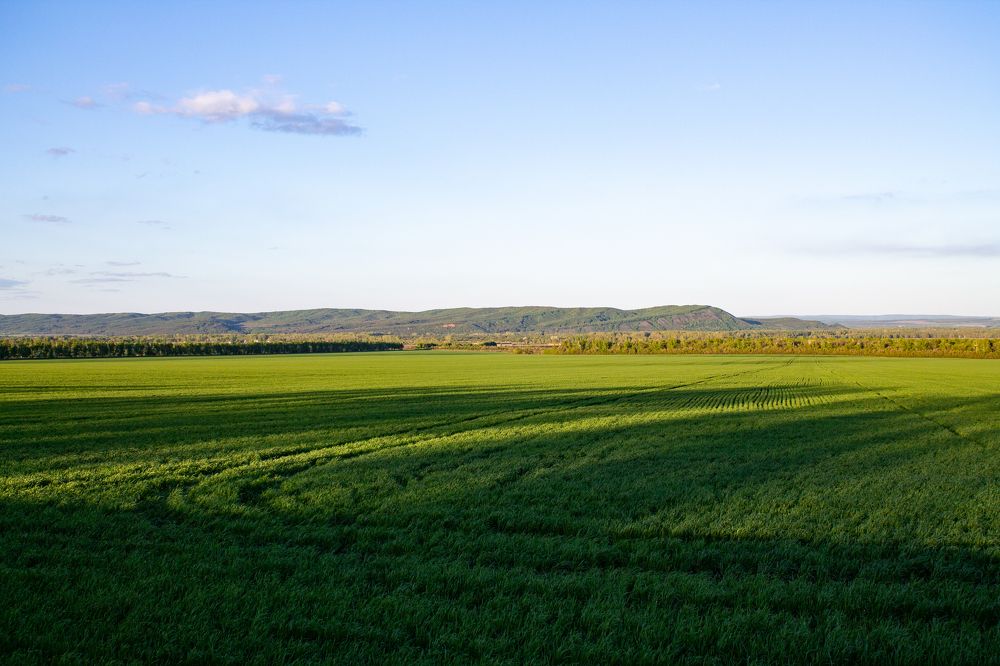 Фотография автора Дарья Рогозина