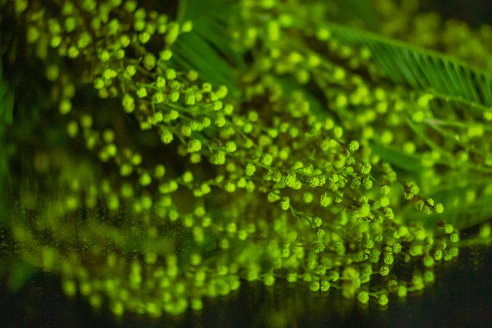 Photograph by Ольга Ильина