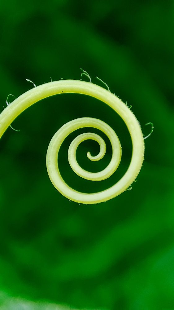 Photograph by Людмила Сергеева