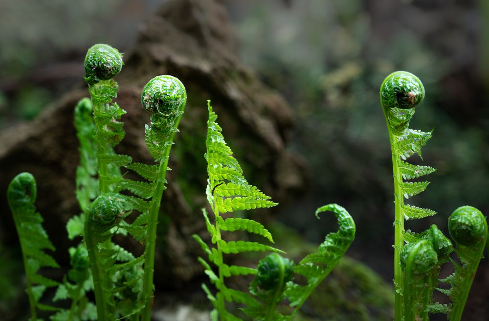 Photograph by Валерий Одинцов