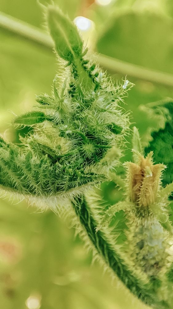 Photograph by Людмила Сергеева