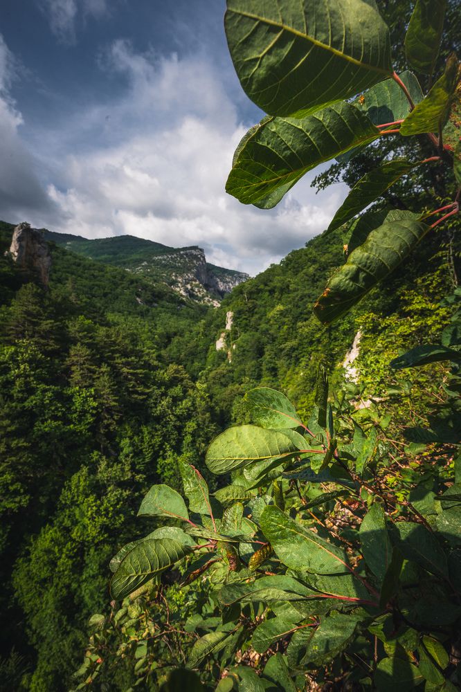 Photograph by Дмитров Андрей