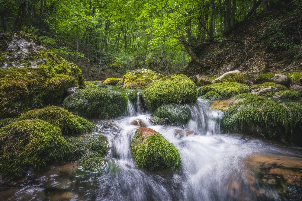 Photograph by Дмитров Андрей