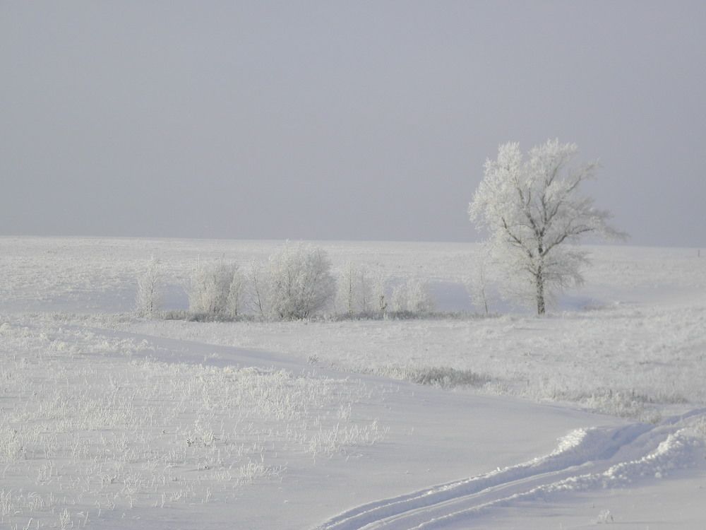 Фотография автора Потоцкий Вячеслав